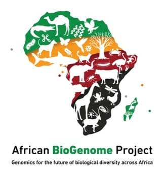 African BioGenome Project (AfricaBP)